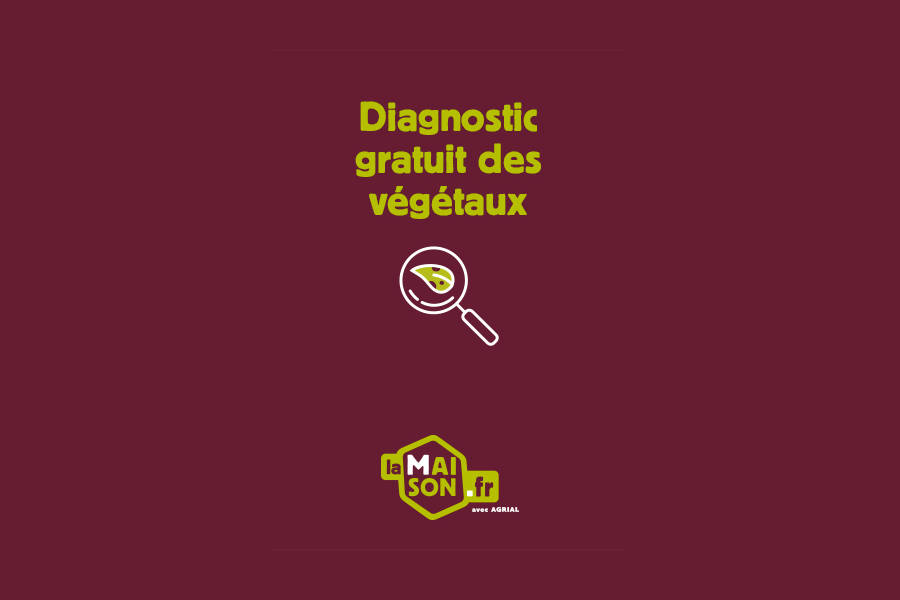 diagnostic-vegetaux-la-maison-fr-flers