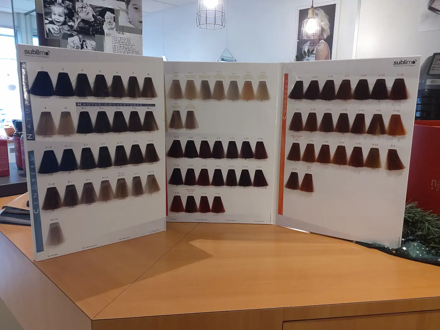 coloration-francaise-sans-ammoniaque-photo-2-art-eva-jachete-flersagglo