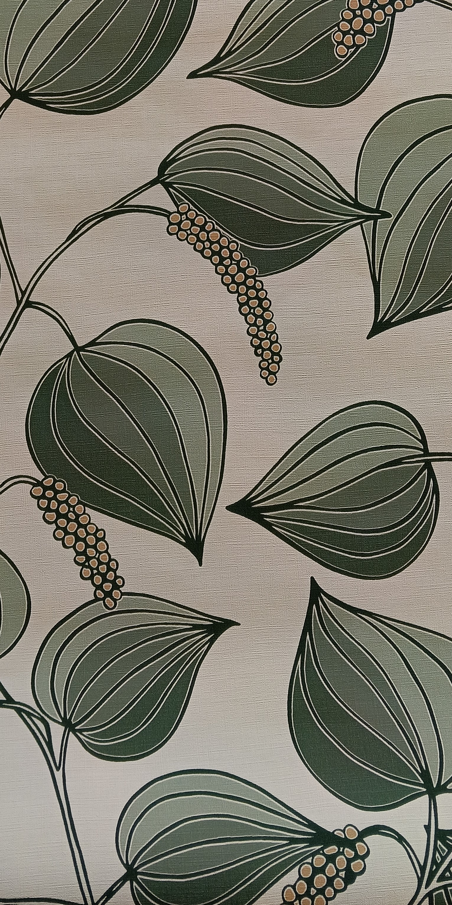 papier-peint--espace-revetement-flers-flers-2